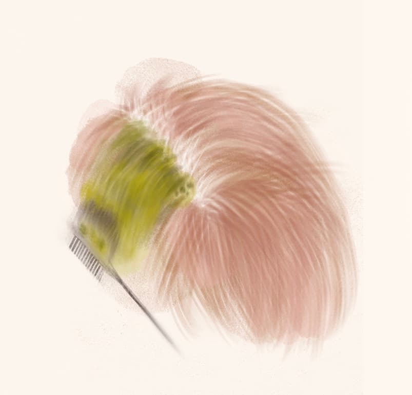 바르기